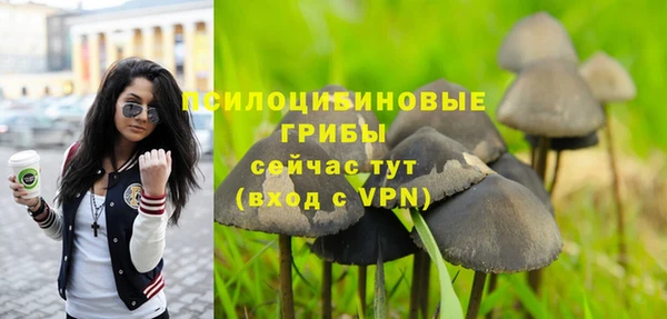 бутират Алзамай