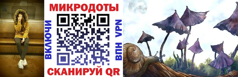 Псилоцибиновые грибы Magic Shrooms где найти наркотики Алзамай